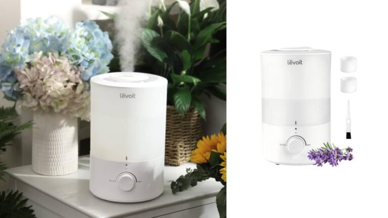 Best Ultrasonic Diffusers for Large Rooms