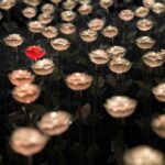 The Best Decorative Garden Stakes With Solar Lights