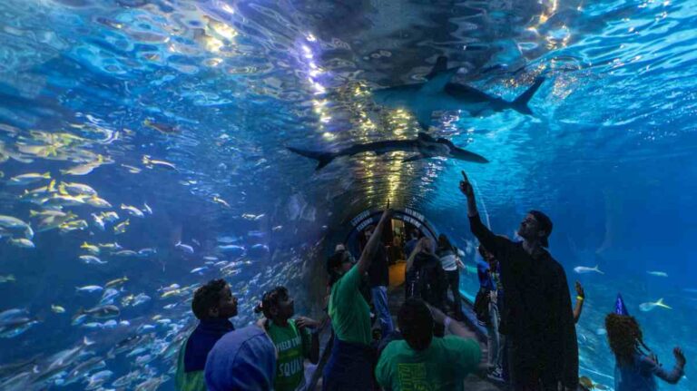 Adventure Aquarium in New Jersey
