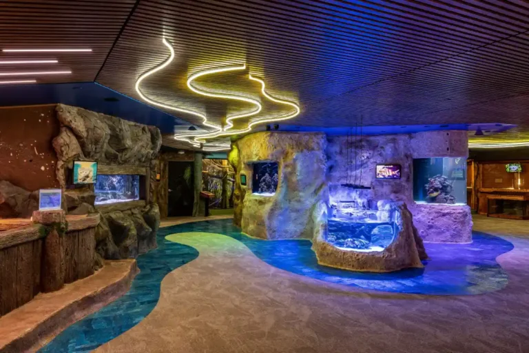 Jenkinson’s Aquarium in New jersey